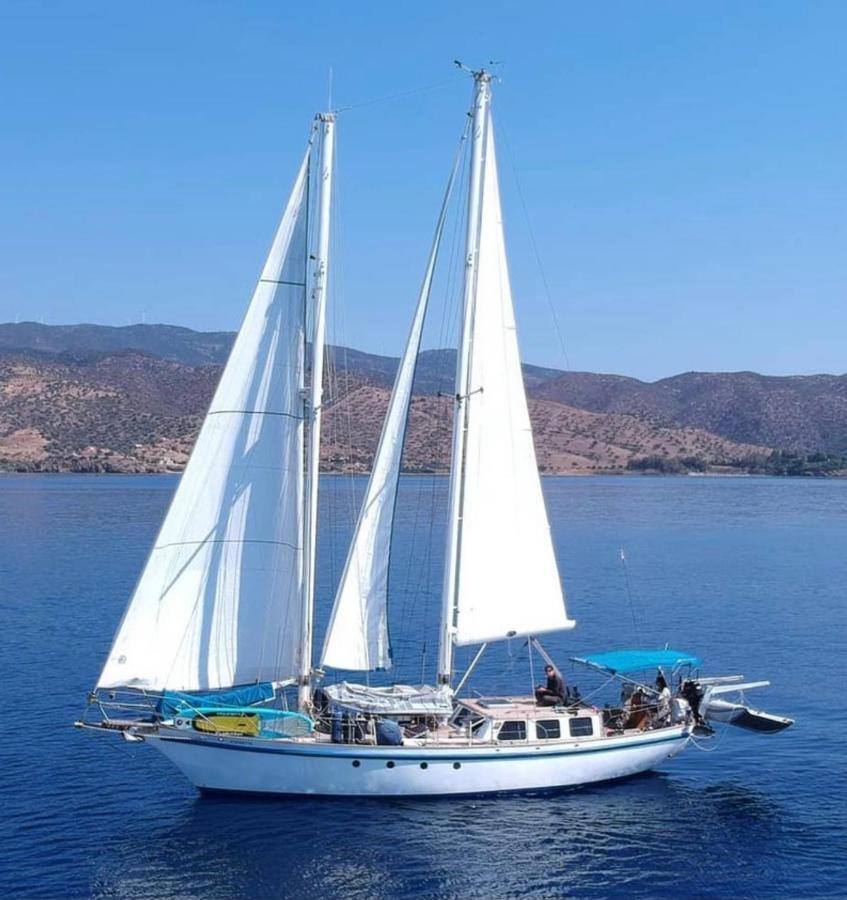 Fantastico Velero En Barcelona Sant Adria de Besos Exterior photo